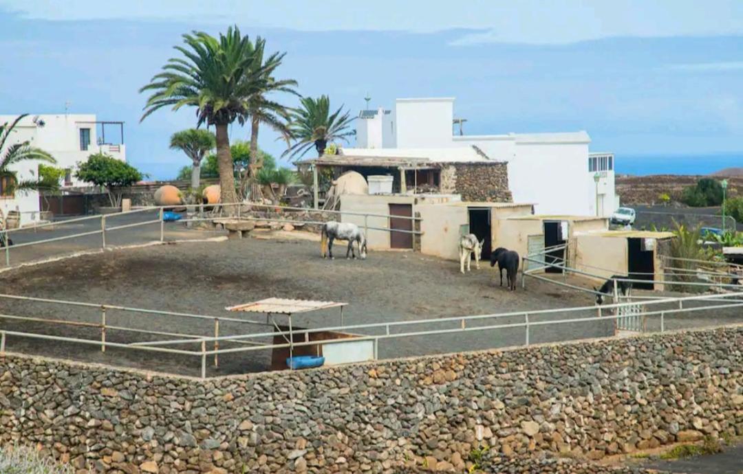 Casa Rural Yeyo En El Crater Del Volcan Tinguaton Εξωτερικό φωτογραφία